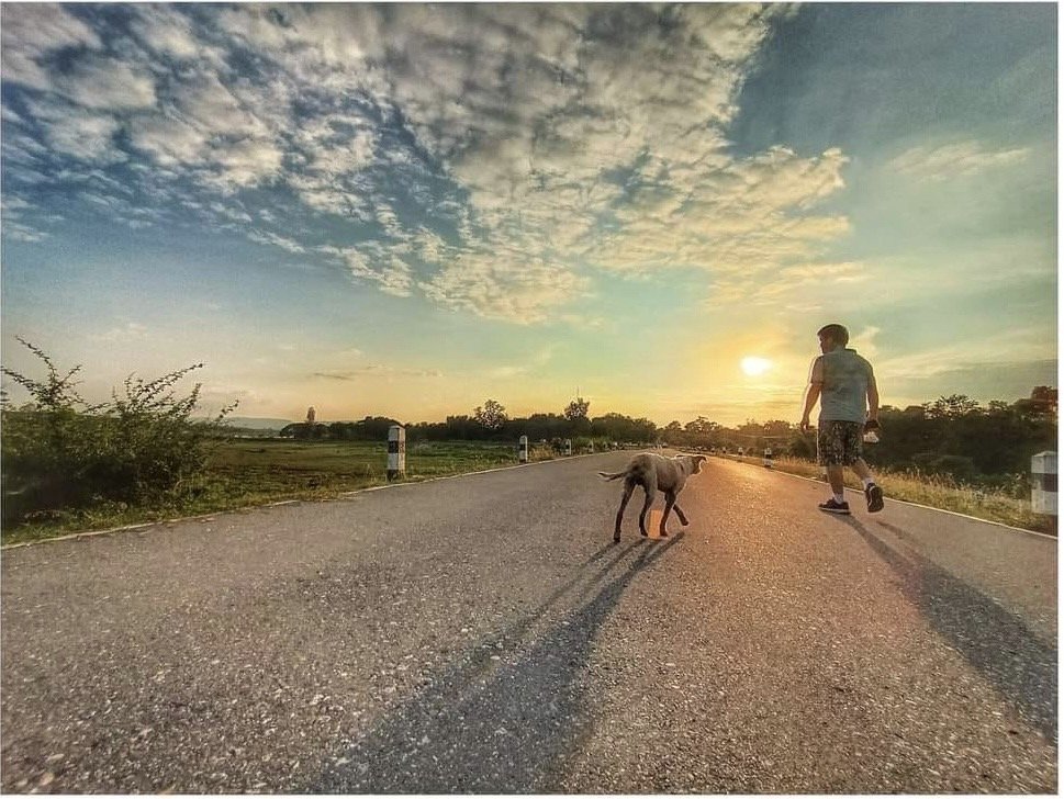 โลกสวยด้วย"มือถือ" ชีวิตมันต้องเดินไปข้างหน้า โลกสวยด้วย"มือถือ" ชีวิตมันต้องเดินไปข้างหน้า
