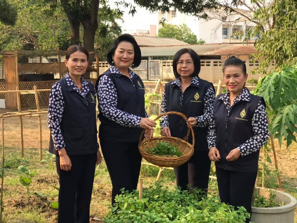 แม่บ้านมหาดไทยสุโขทัย นำร่องจัดโครงการ'ที่ว่างสร้างแหล่งอาหาร' 