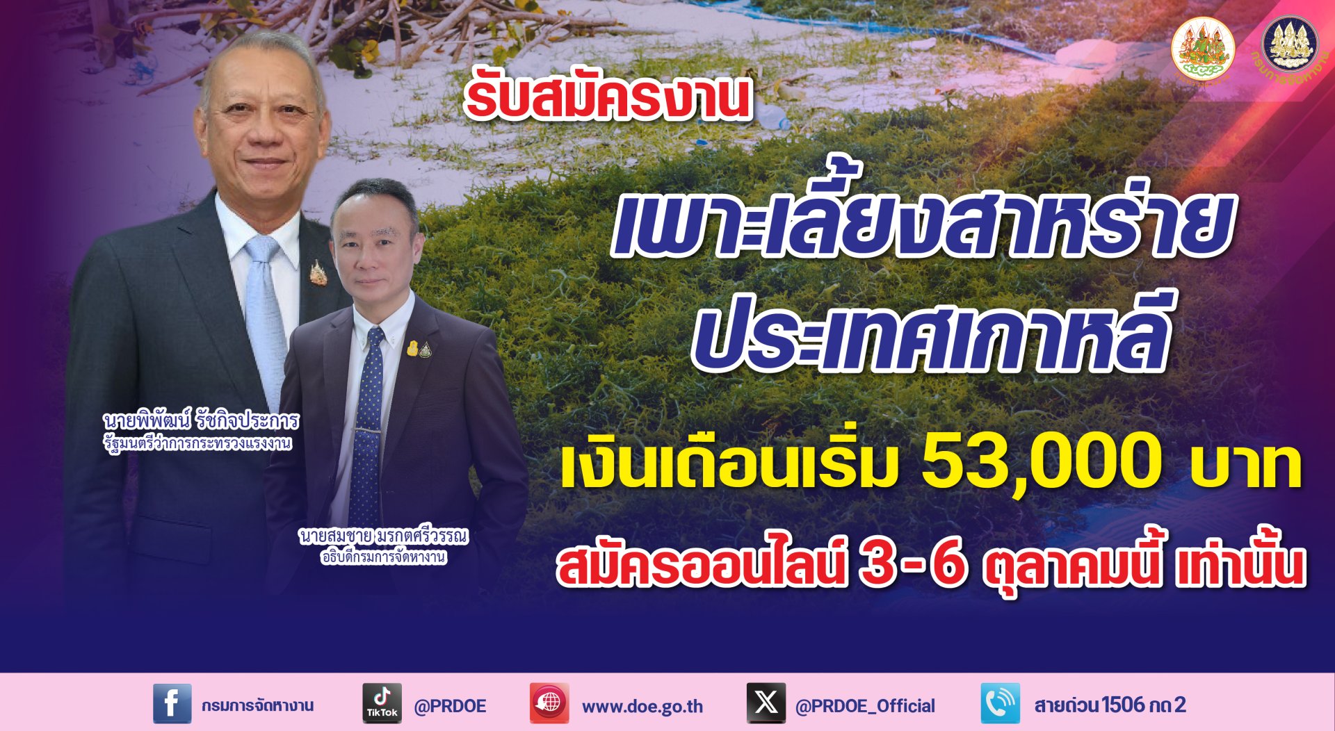 กรมการจัดหางานเปิดรับสมัครคนงานชาย  เพาะเลี้ยงสาหร่ายทะเล-เงินเดือน5.3หมื่นบาท