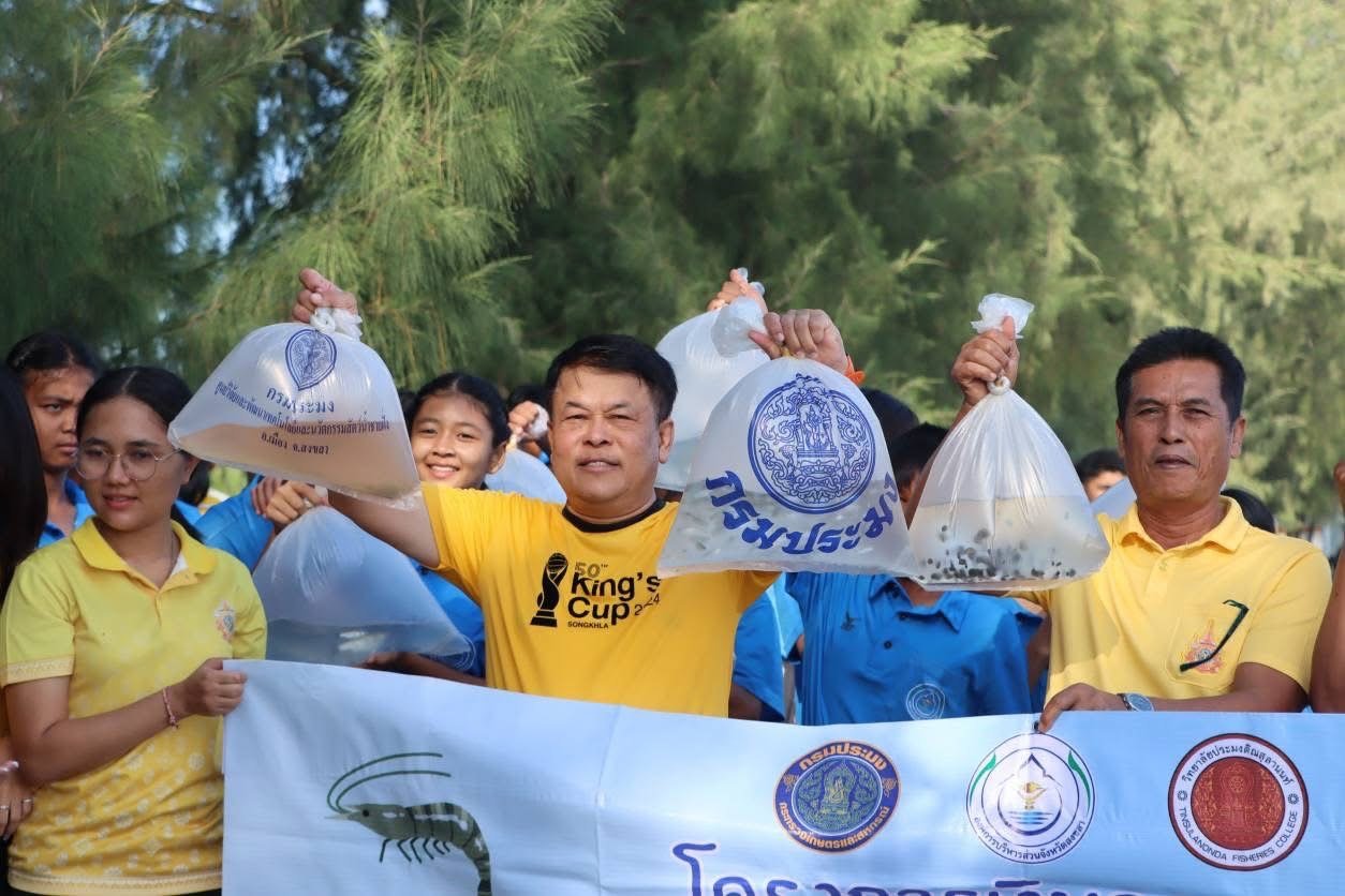 ฟื้นฟูระบบนิเวศชายฝั่ง"นายกอบจ.สงขลา" นำทีมปล่อยพันธุ์กุ้งปลาทะเล2.7แสนตัว 