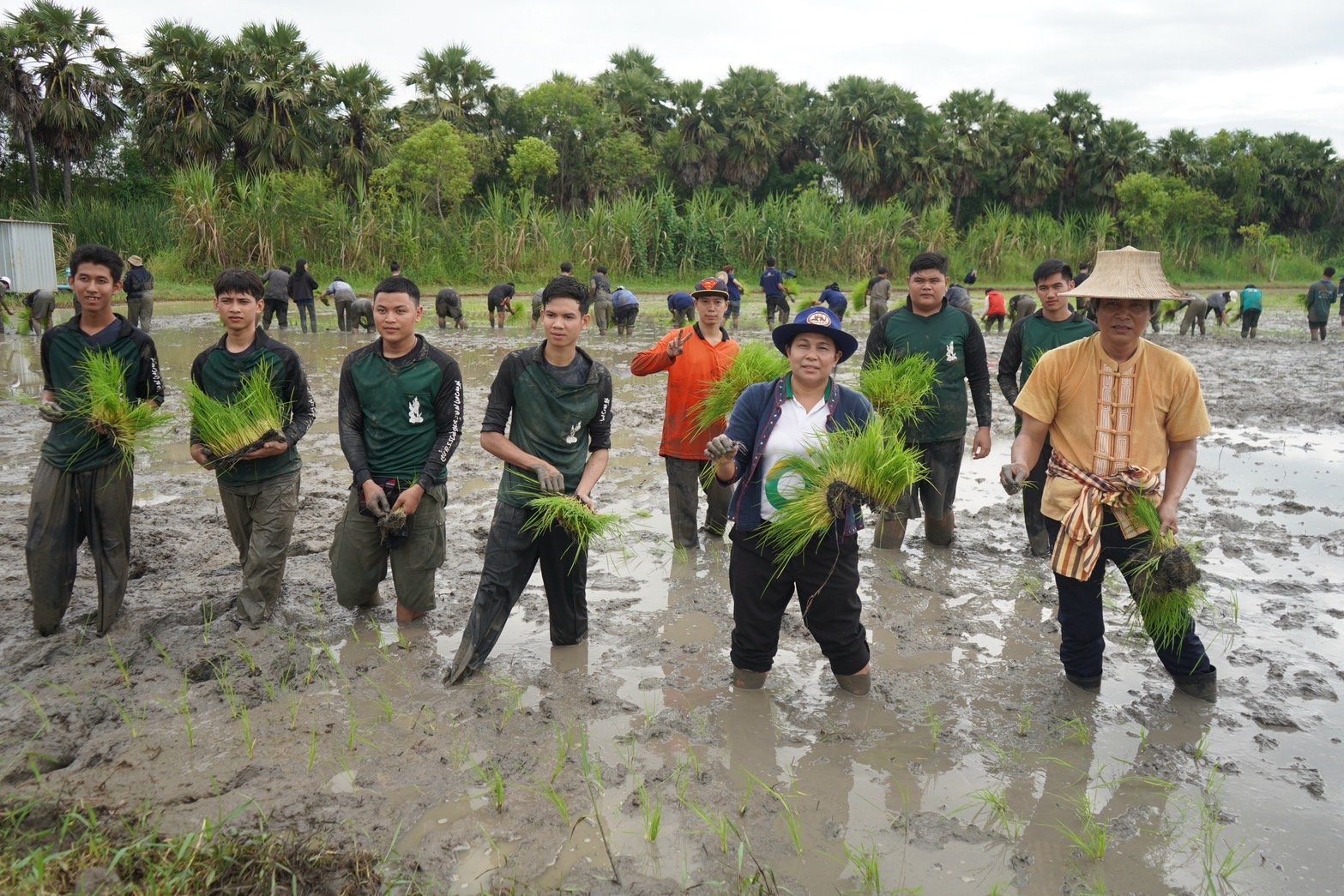 เกษตรอยุธยา ราชมงคลสุวรรณภูมิ  หว่านกล้า-ดำนาสืบสานภูมิปัญญาไทย 