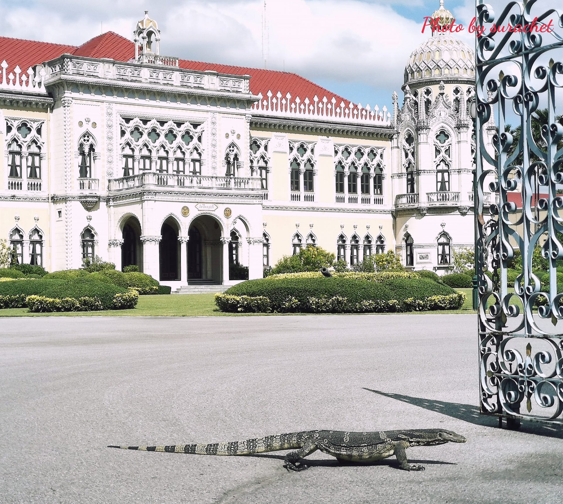 โลกสวยด้วย"มือถือ" มือไว-ใจนิ่ง“ภาพสมบูรณ์แบบ” โลกสวยด้วย"มือถือ" มือไว-ใจนิ่ง“ภาพสมบูรณ์แบบ”