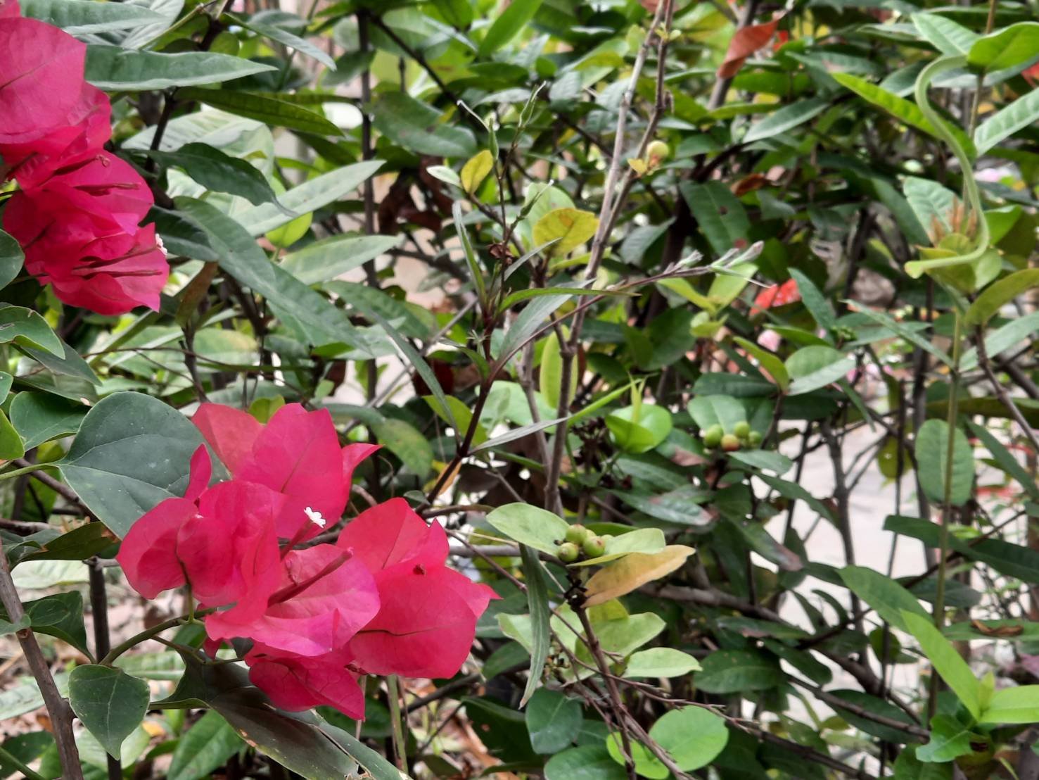 โลกสวยด้วย"มือถือ" มองดี ๆ คุณเห็นอะไรในภาพนี้!!! โลกสวยด้วย"มือถือ" มองดี ๆ คุณเห็นอะไรในภาพนี้!!!