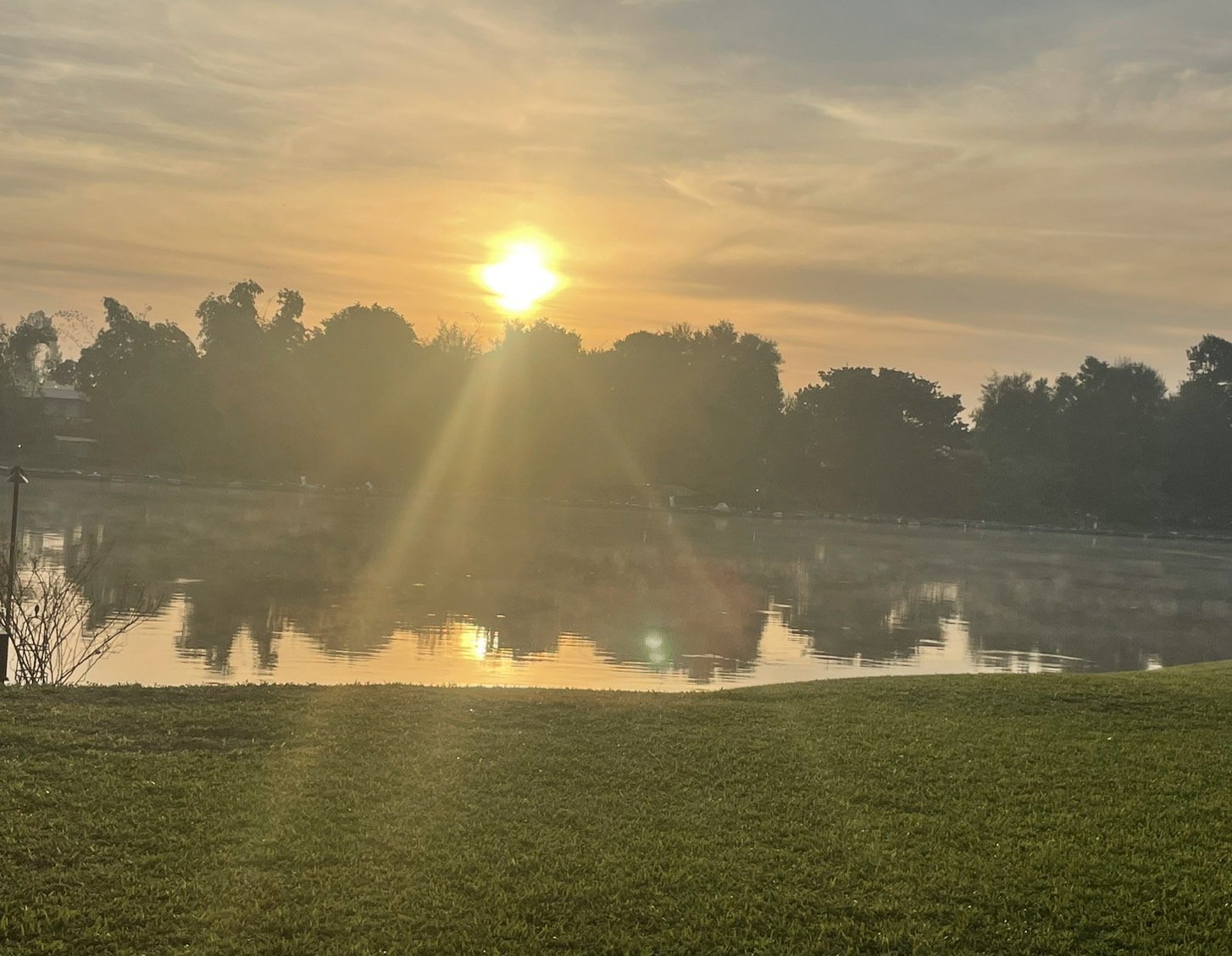 โลกสวยด้วย"มือถือ" รับอรุณอากาศหนาวกับเหล่าแมกไม้นานาพรรณ โลกสวยด้วย"มือถือ" รับอรุณอากาศหนาวกับเหล่าแมกไม้นานาพรรณ