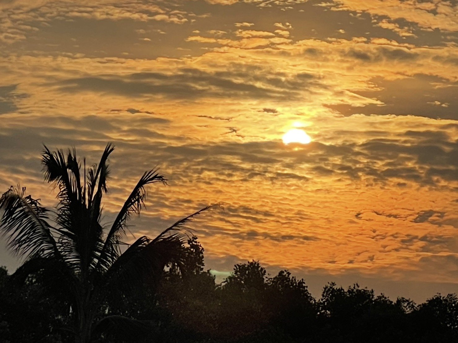 โลกสวยด้วย"มือถือ" ฟากฟ้ายามเย็น เห็นแสงรำไร... โลกสวยด้วย"มือถือ" ฟากฟ้ายามเย็น เห็นแสงรำไร...