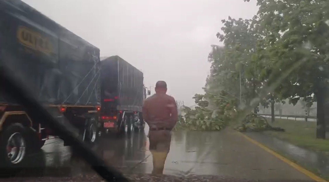 ความปลอดภัยของปชช.ต้องมาก่อน ชื่นชม"ตร.ทางหลวง"จัดการกิ่งไม้หักขวางทาง (ชมคลิป) ความปลอดภัยของปชช.ต้องมาก่อน ชื่นชม"ตร.ทางหลวง"จัดการกิ่งไม้หักขวางทาง (ชมคลิป)