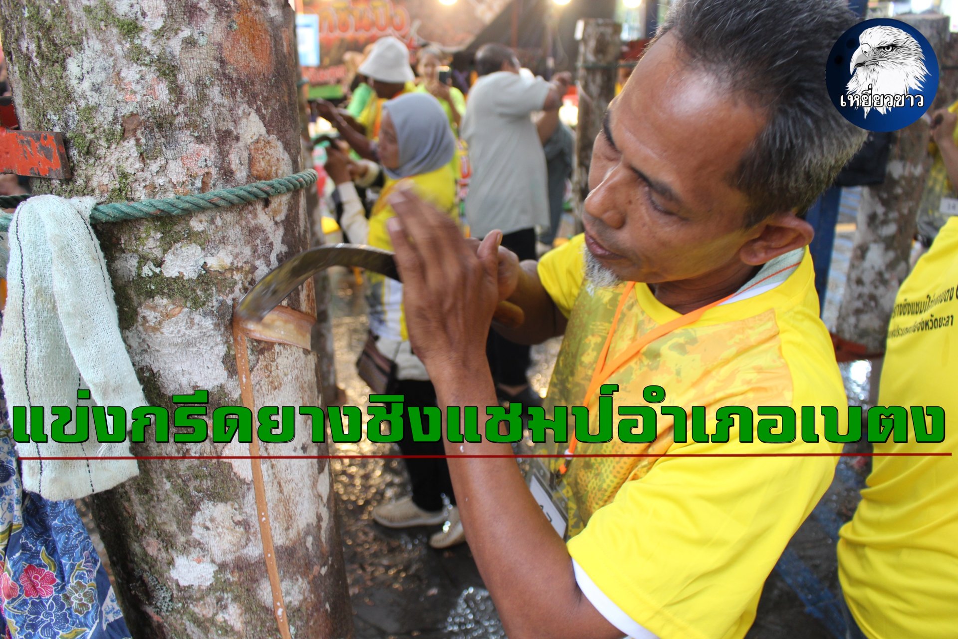 การยางแห่งประเทศไทยฯเพิ่มทักษะการกรีดยาง จัดการแข่งขันกรีดยางชิงแชมป์อำเภอเบตง การยางแห่งประเทศไทยฯเพิ่มทักษะการกรีดยาง จัดการแข่งขันกรีดยางชิงแชมป์อำเภอเบตง