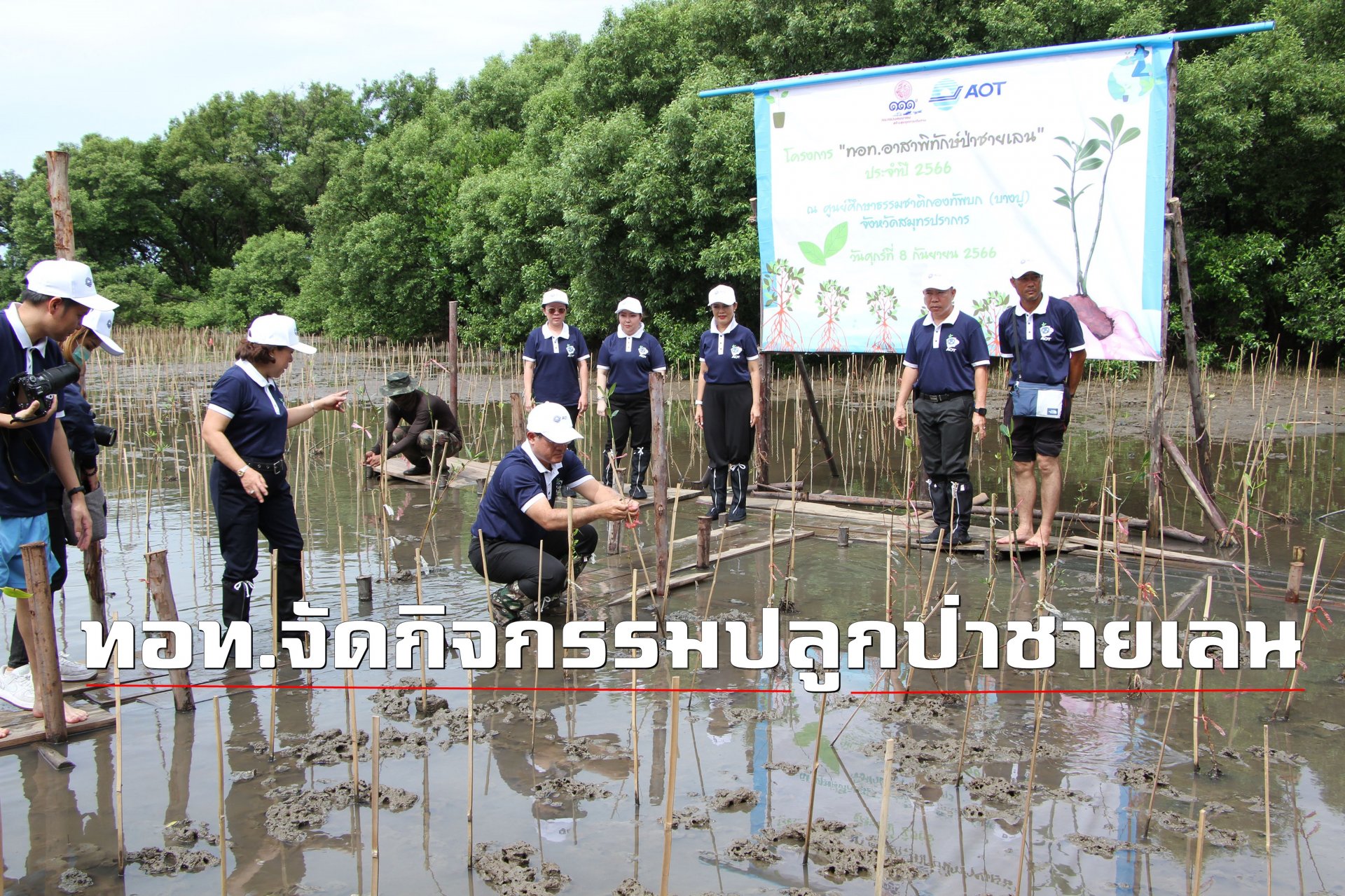 ทอท.จัดกิจกรรมปลูกป่า ฟื้นฟูสภาพป่าชายเลนบางปู ทอท.จัดกิจกรรมปลูกป่า ฟื้นฟูสภาพป่าชายเลนบางปู