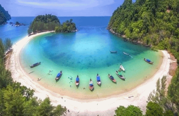 ดำน้ำเกาะกำ ค้างคาว ญี่ปุ่น (ท่าเรือบางเบน) ดำน้ำเกาะกำ ค้างคาว ญี่ปุ่น (ท่าเรือบางเบน)