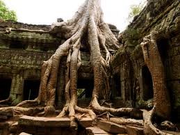 ขอมคือชื่อทางวัฒนธรรม
