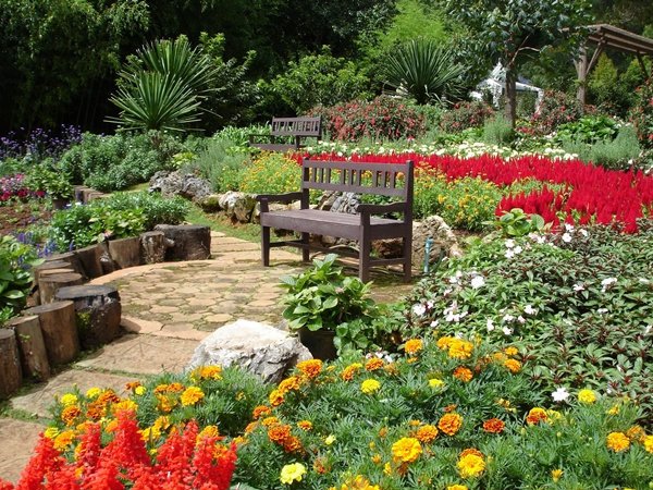 เยือนถิ่นล้านนา เที่ยวเชียงใหม่ เยือนถิ่นล้านนา เที่ยวเชียงใหม่