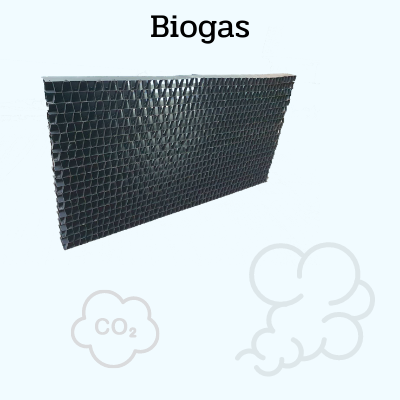 ก๊าซชีวภาพ (Biogas) 