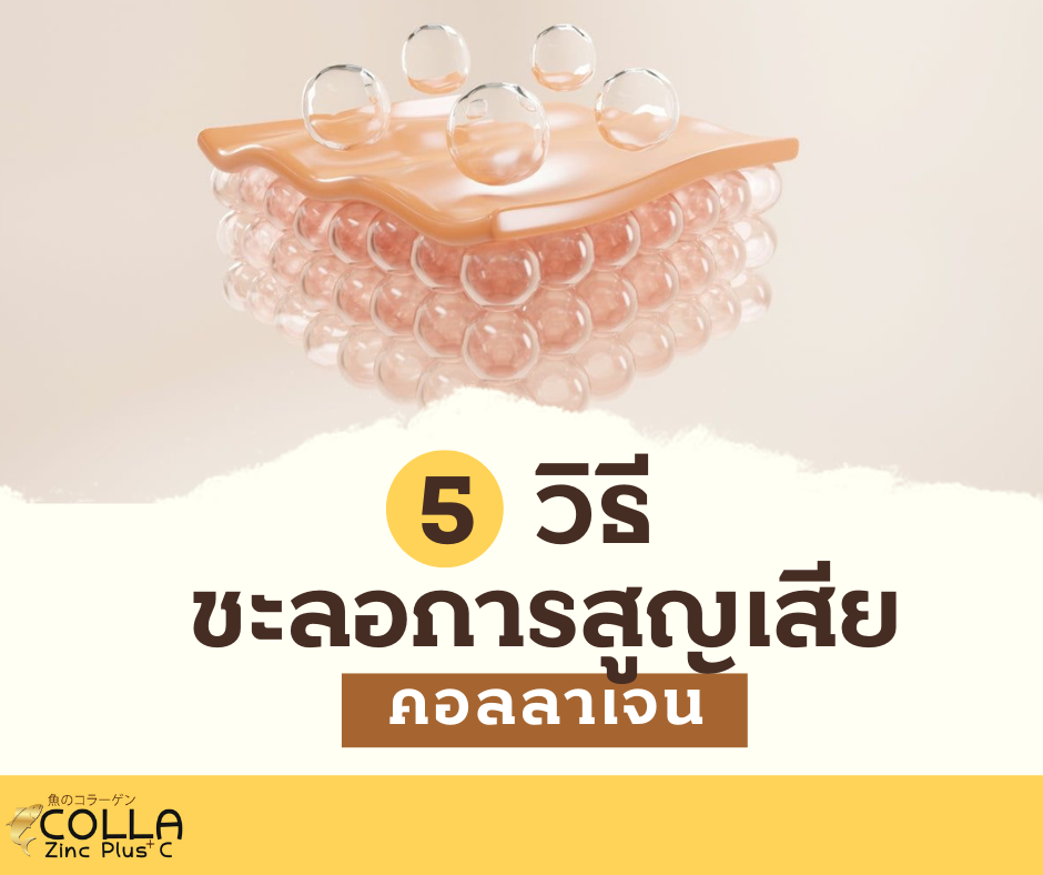 5 วิธี ชะลอการสูญเสียคอลลาเจน ให้ผิวเนียนเด้ง!!