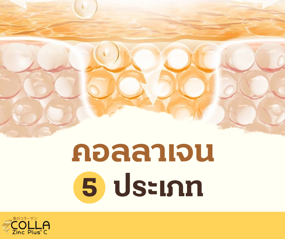 ทำความรู้จักคอลลาเจน 5 ประเภท