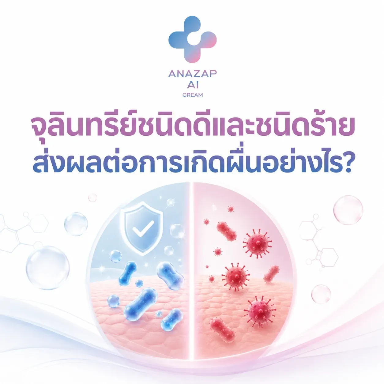  จุลินทรีย์ชนิดดีและชนิดร้าย_ส่งผลต่อการเกิดผื่นอย่างไร