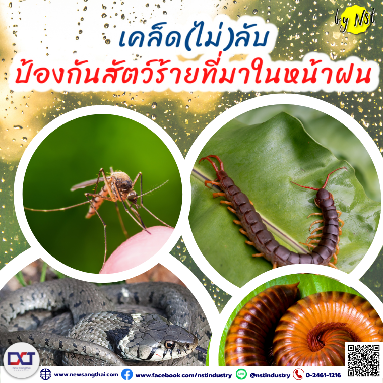 Prevent the venomous animals in rainy season Prevent the venomous animals in rainy season