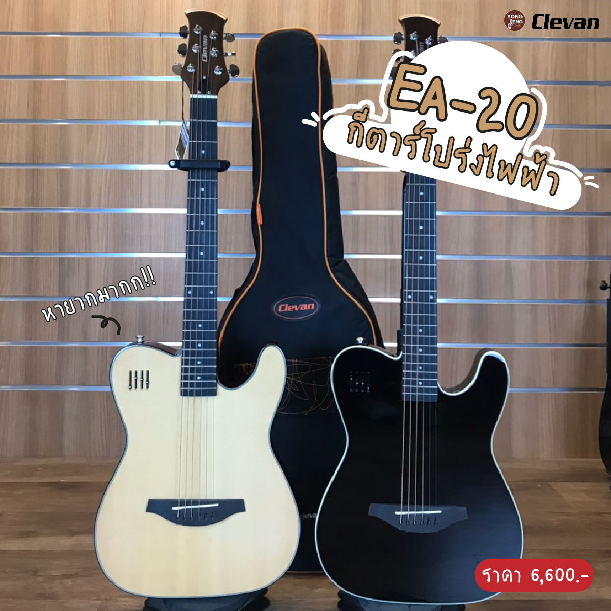 โปร่งไฟฟ้า EA20 โปร่งไฟฟ้า EA20