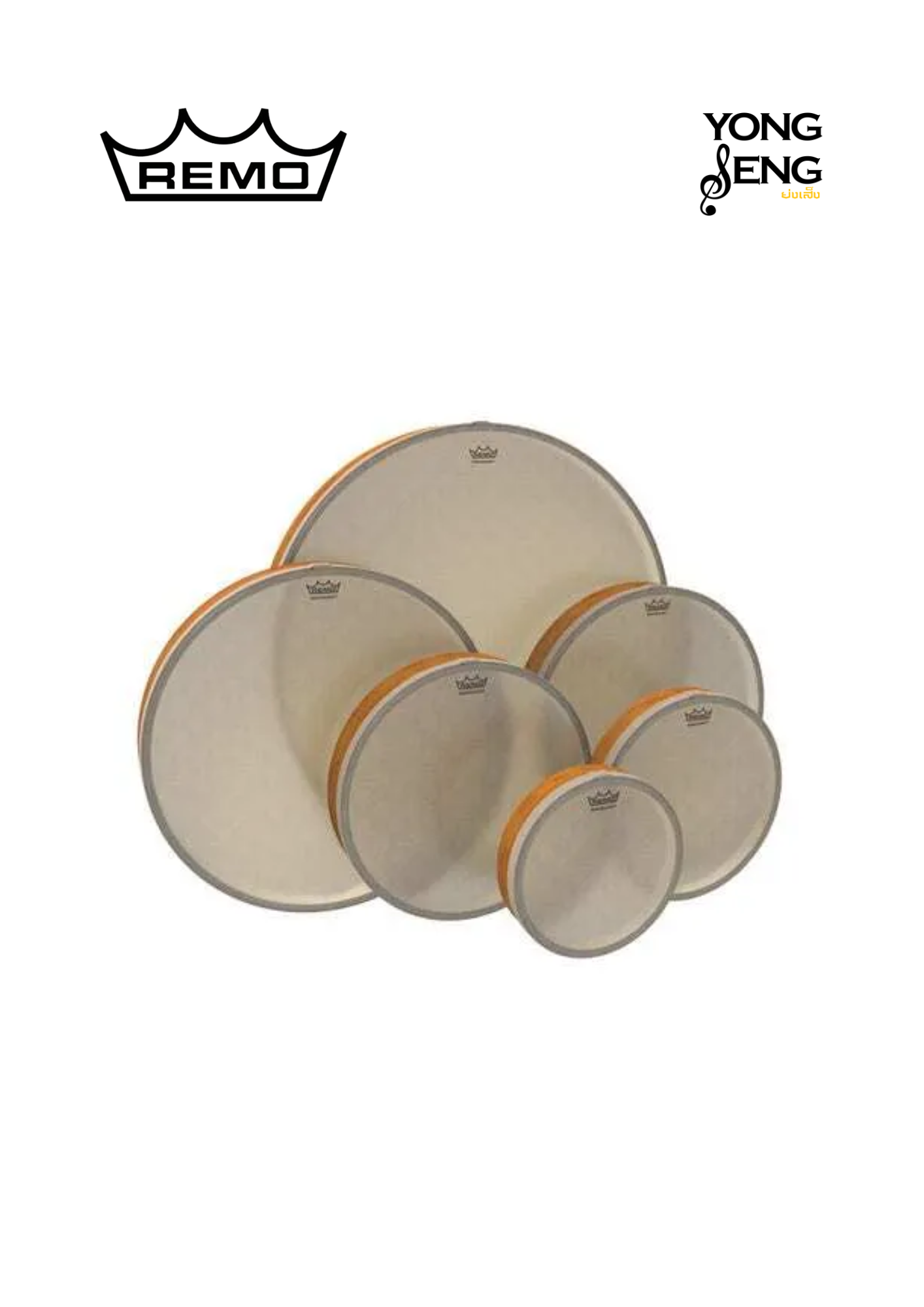 Renaissance Frame Drums Remo Set of 6 (8",10",12"14",16",22"