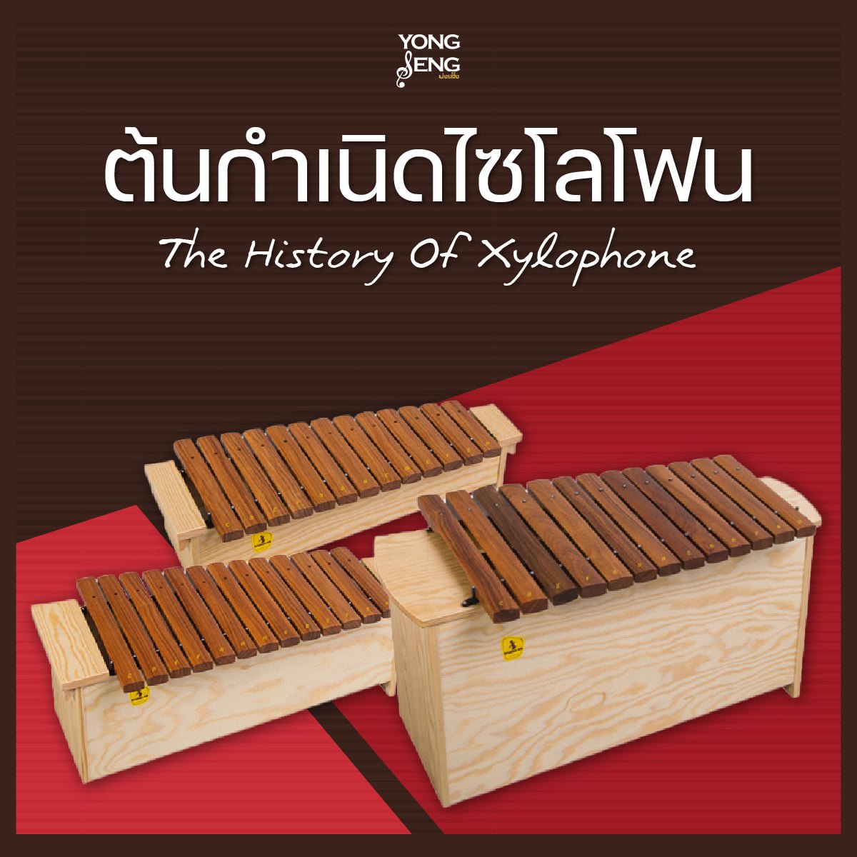 ต้นกำเนิดไซโลโฟน ต้นกำเนิดไซโลโฟน