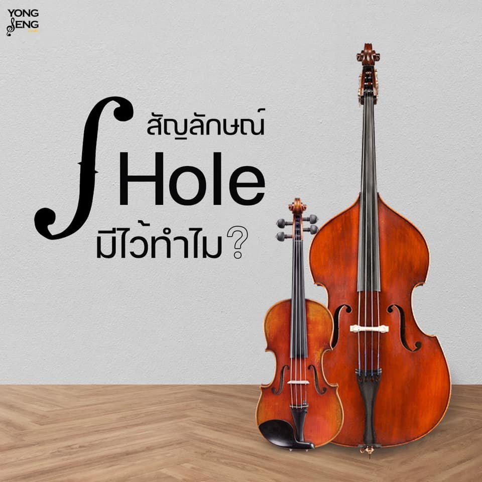 สัญลักษณ์ F hole บนเครื่องดนตรีตระกูลไวโอลินมีไว้ทำไม สัญลักษณ์ F hole บนเครื่องดนตรีตระกูลไวโอลินมีไว้ทำไม