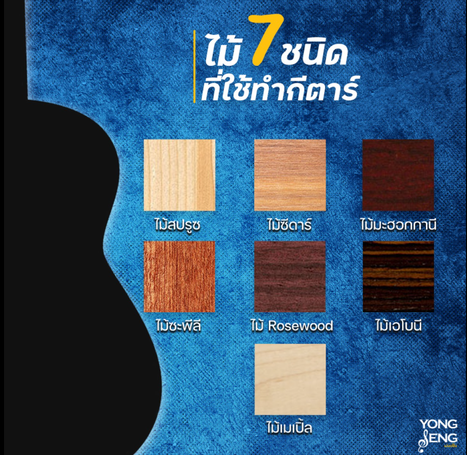 สงสัยกันไหม ?? ว่าไม้ที่ใช้ทำกีตาร์มีไม้อะไรบ้าง สงสัยกันไหม ?? ว่าไม้ที่ใช้ทำกีตาร์มีไม้อะไรบ้าง