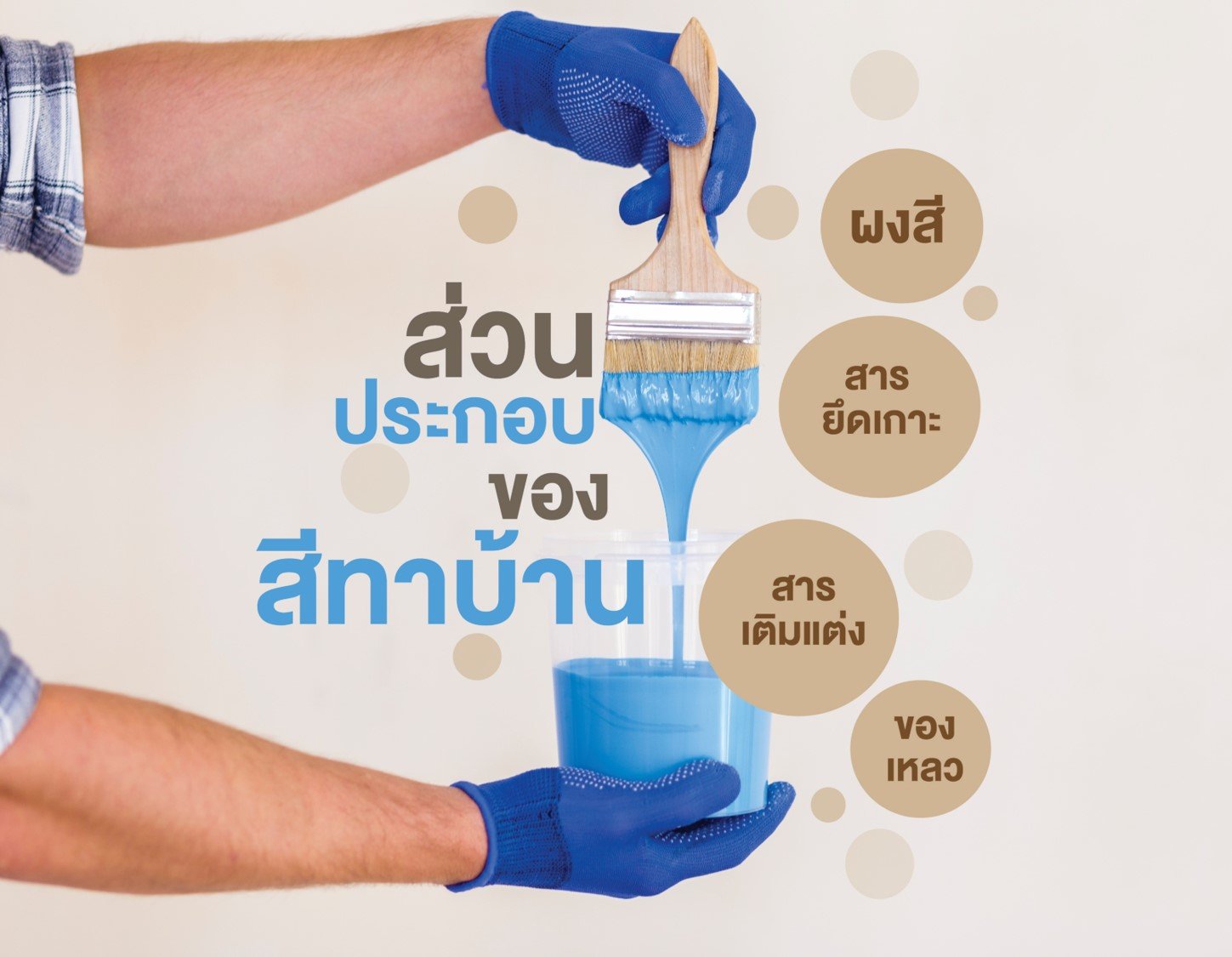 ส่วนประกอบของสีทาบ้าน ส่วนประกอบของสีทาบ้าน