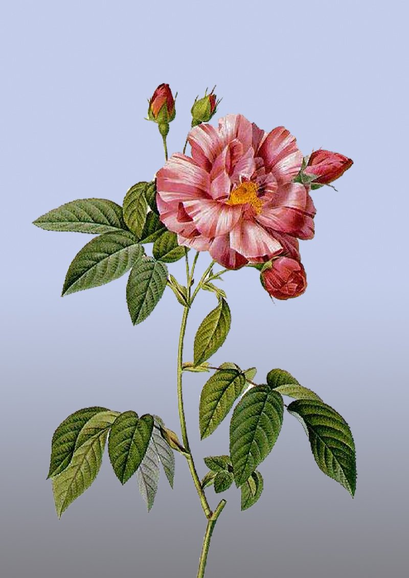 Shipping available Shipping available