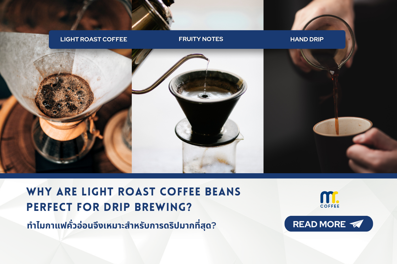 Why Are Light Roast Coffee Beans Perfect for Drip Brewing?​