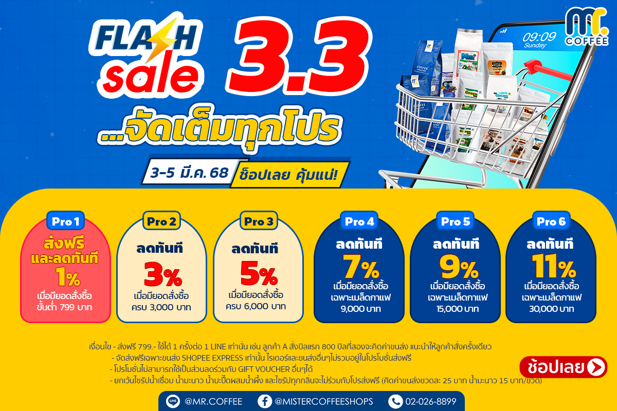 Flash Sale 3.3 นี้ห้ามพลาด ลดหนัก จัดเต็มทุกโปร กับราคาสุดคุ้ม