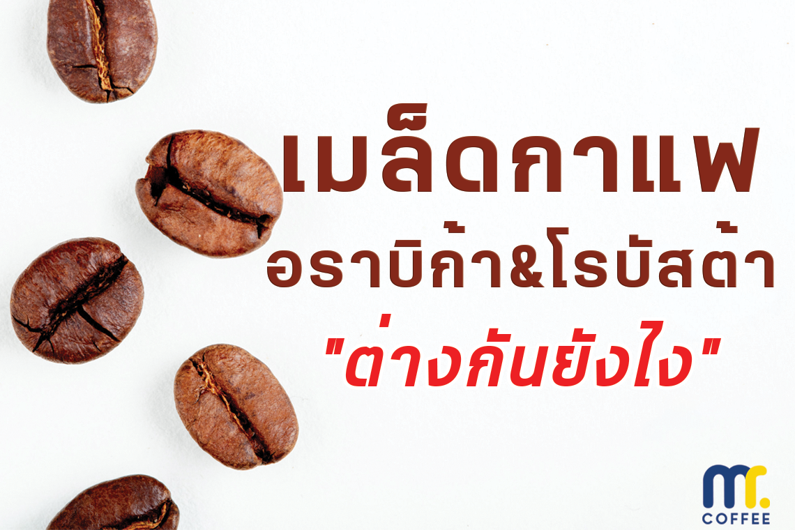 เมล็ดกาแฟ อราบิก้า&โรบัสต้า "ต่างกันยังไง" เมล็ดกาแฟ อราบิก้า&โรบัสต้า "ต่างกันยังไง"