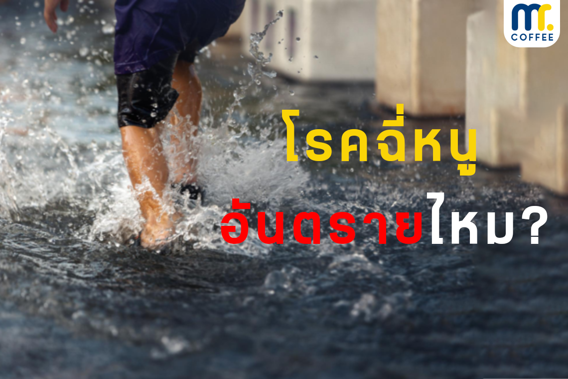 โรคฉี่หนู อันตรายไหม??  โรคฉี่หนู อันตรายไหม??