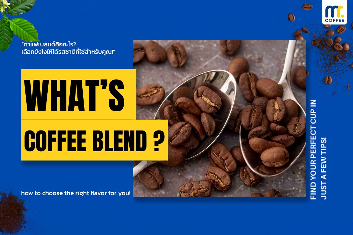 กาแฟเบลนด์คืออะไร เลือกยังไงให้ได้รสชาติที่ใช่สำหรับคุณ