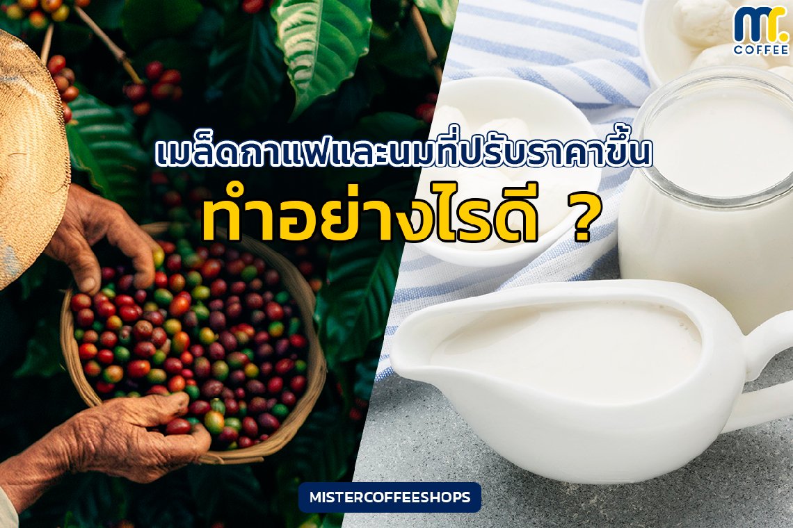 เมล็ดกาแฟและนมที่ปรับราคาขึ้น ทำอย่างไรดี ?