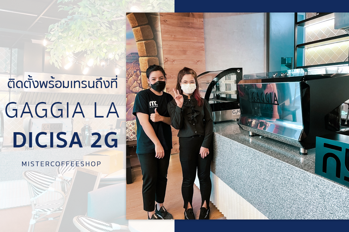 รีวิวติดตั้งเครื่องชงกาแฟสด เซ็ตเครื่องชงกาแฟ Gaggia la Dicisa 2g รีวิวติดตั้งเครื่องชงกาแฟสด เซ็ตเครื่องชงกาแฟ Gaggia la Dicisa 2g