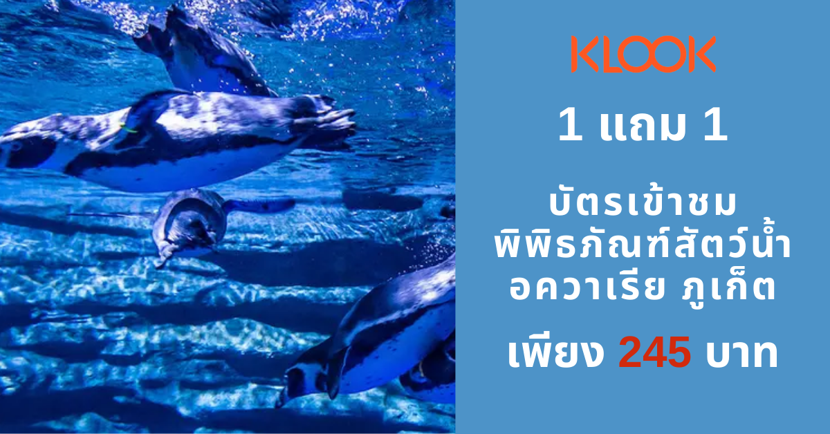 ถูกกว่านี้ไม่มีอีกแล้ว ซื้อ 1 แถม 1 บัตรเข้าชมพิพิธภัณฑ์สัตว์น้ำ อควาเรีย ภูเก็ต ลดเหลือเพียง 245.- เท่านั้น!!!! ถูกกว่านี้ไม่มีอีกแล้ว ซื้อ 1 แถม 1 บัตรเข้าชมพิพิธภัณฑ์สัตว์น้ำ อควาเรีย ภูเก็ต ลดเหลือเพียง 245.- เท่านั้น!!!!