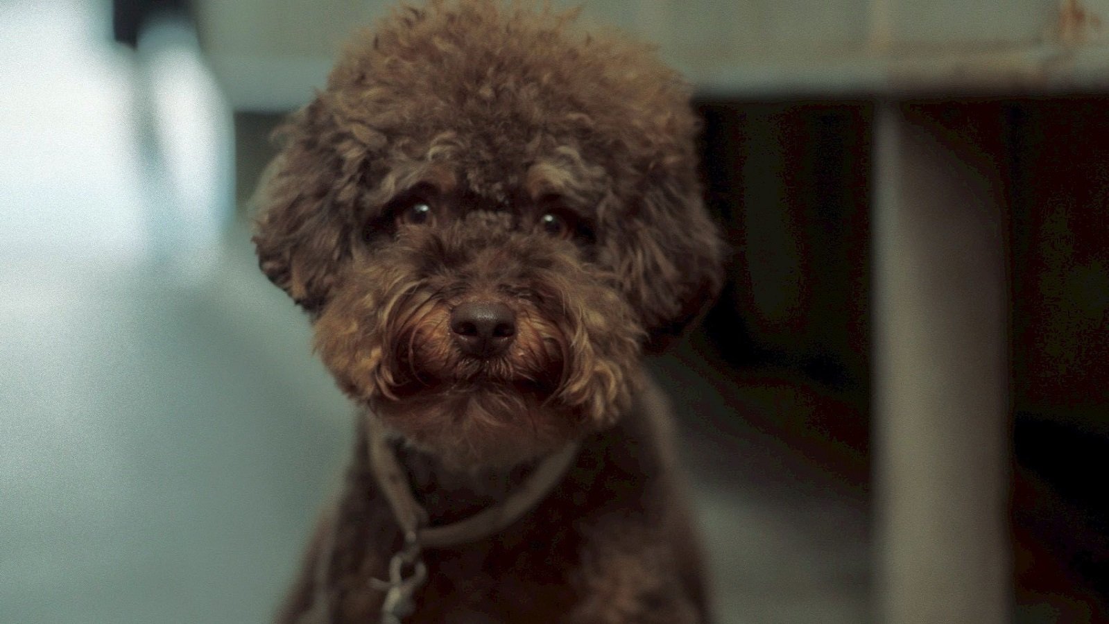 _less ส่งซิงเกิลใหม่ "เมื่อต้องรอ (waiting eyes)" เสียงแทนสายตาที่เฝ้ามองใครบางคน