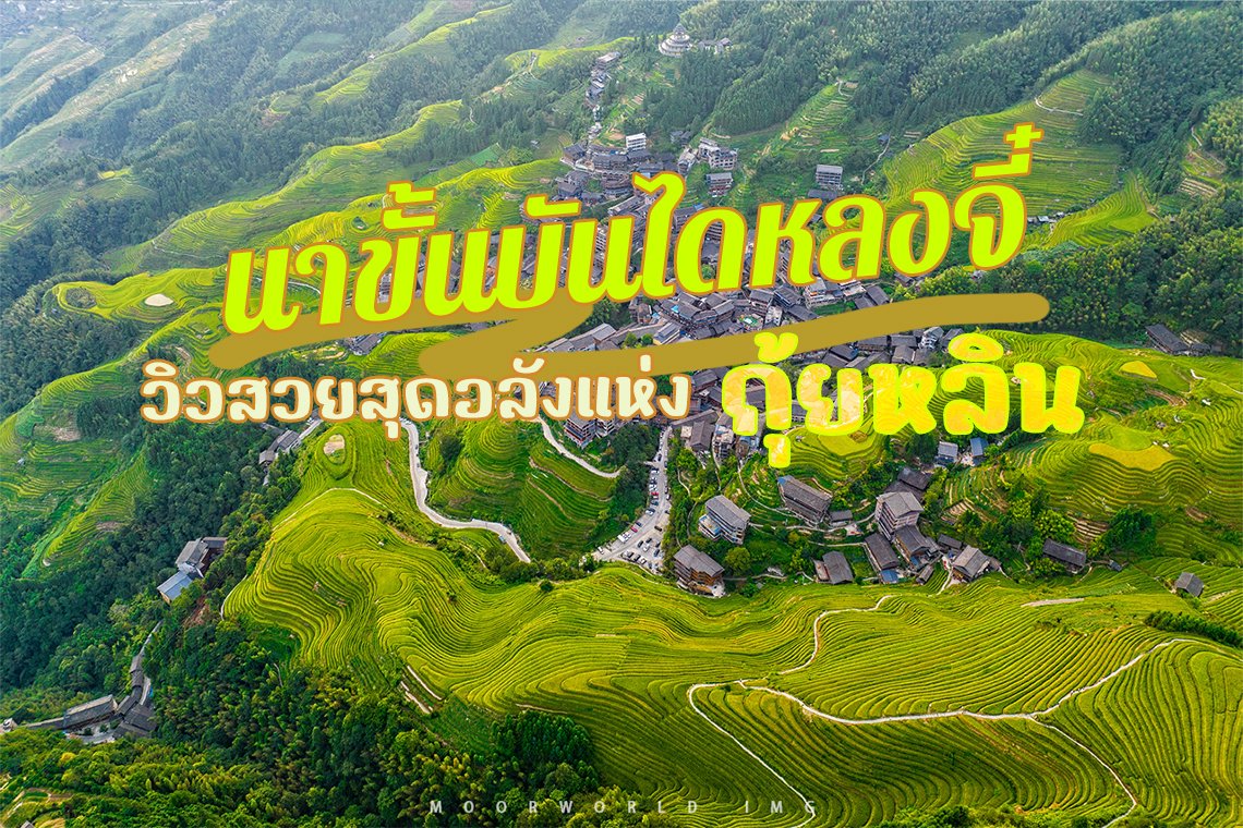 นาขั้นบันไดหลงจี๋ วิวสวยสุดอลังแห่งกุ้ยหลิน นาขั้นบันไดหลงจี๋ วิวสวยสุดอลังแห่งกุ้ยหลิน