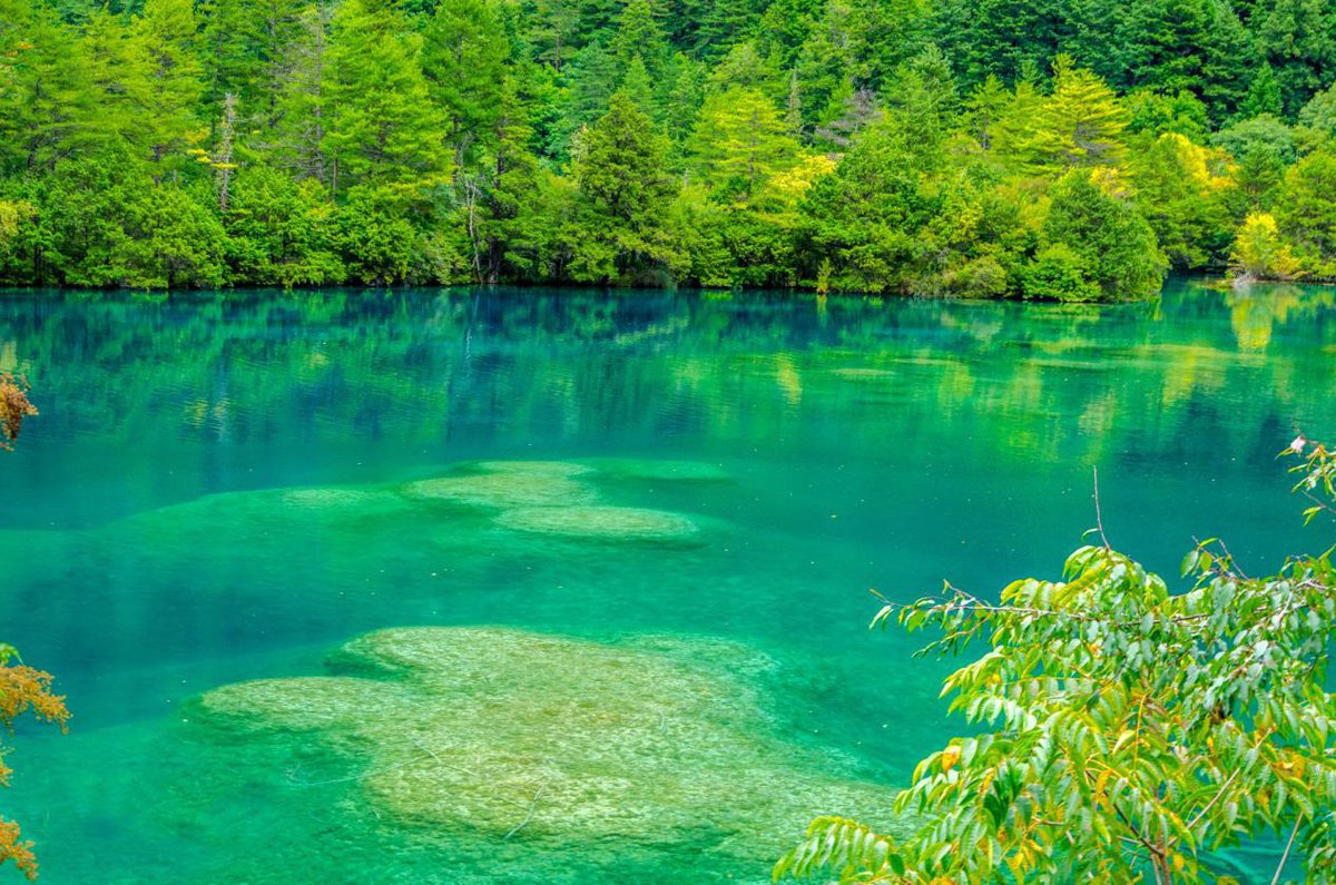ทะเลสาบมังกรคู่ (Twin Dragon Lake) จิ่วจ้ายโกว