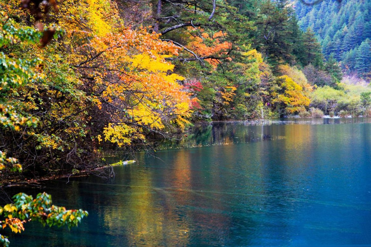ทะเลสาบเสือ (Tiger Lake) จิ่วจ้ายโกว