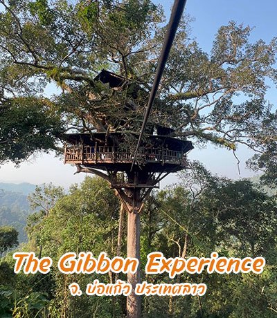 The Gibbon Experience
