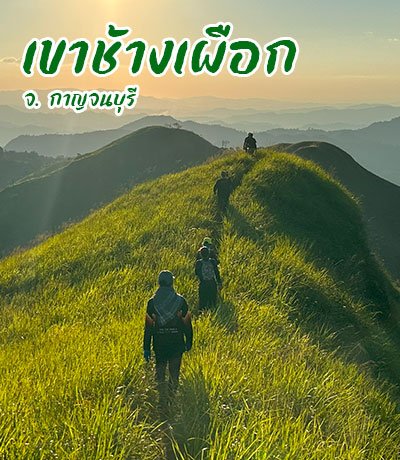 เขาช้างเผือก