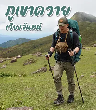 ภูเขาควาย Banner