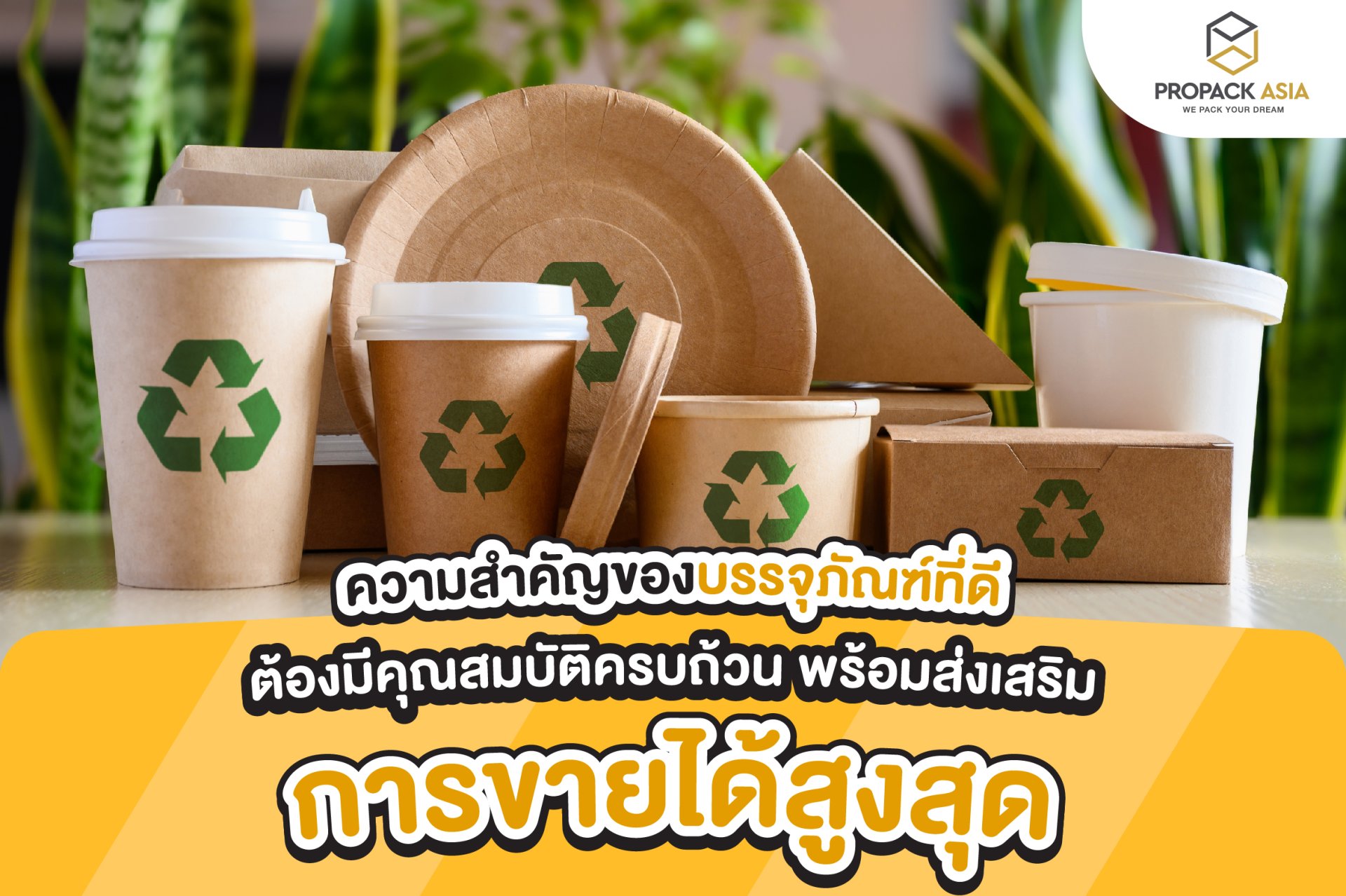 ความสำคัญของบรรจุภัณฑ์ (Packaging) ที่ดีเป็นอย่างไร ?