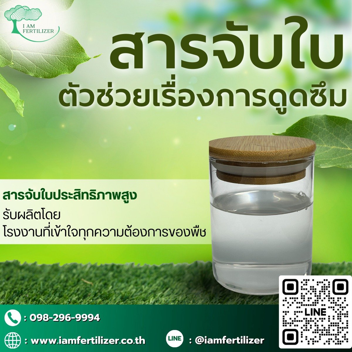 สารจับใบ ตัวช่วยเรื่องการดูดซึม