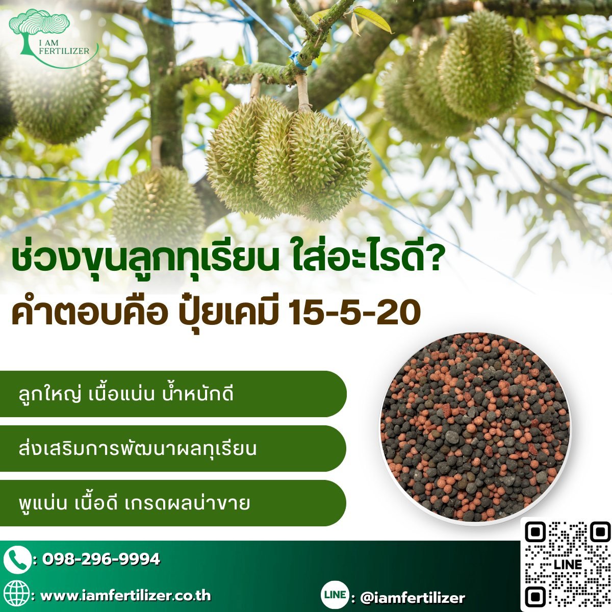 ผลผลิตทุเรียน เพิ่มขึ้น 2เท่า  หลังใช้ ปุ๋ยอินทรีย์เคมี 5-3-16 OM10%