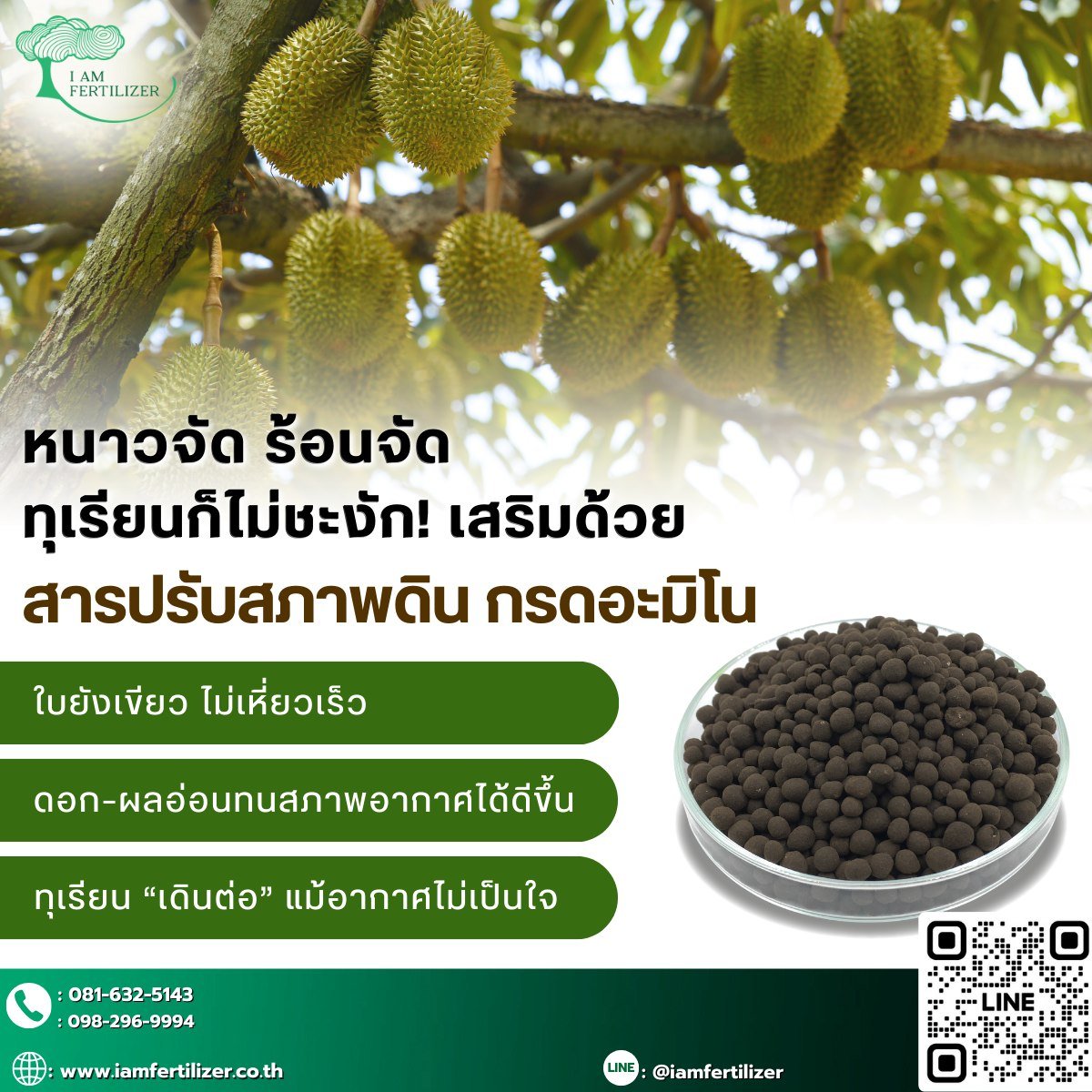 หนาวจัด ร้อนจัด ทุเรียนก็ไม่ชะงัก️ เสริมด้วย.....สารปรับสภาพดินกรดอะมิโน 