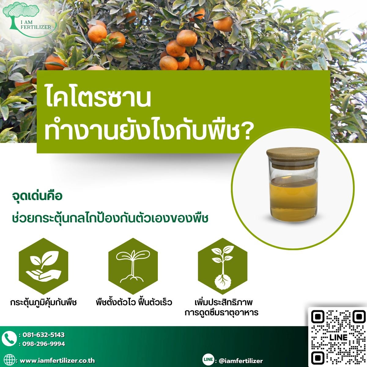 ไคโตซานทำงานยังไงกับพืช ?