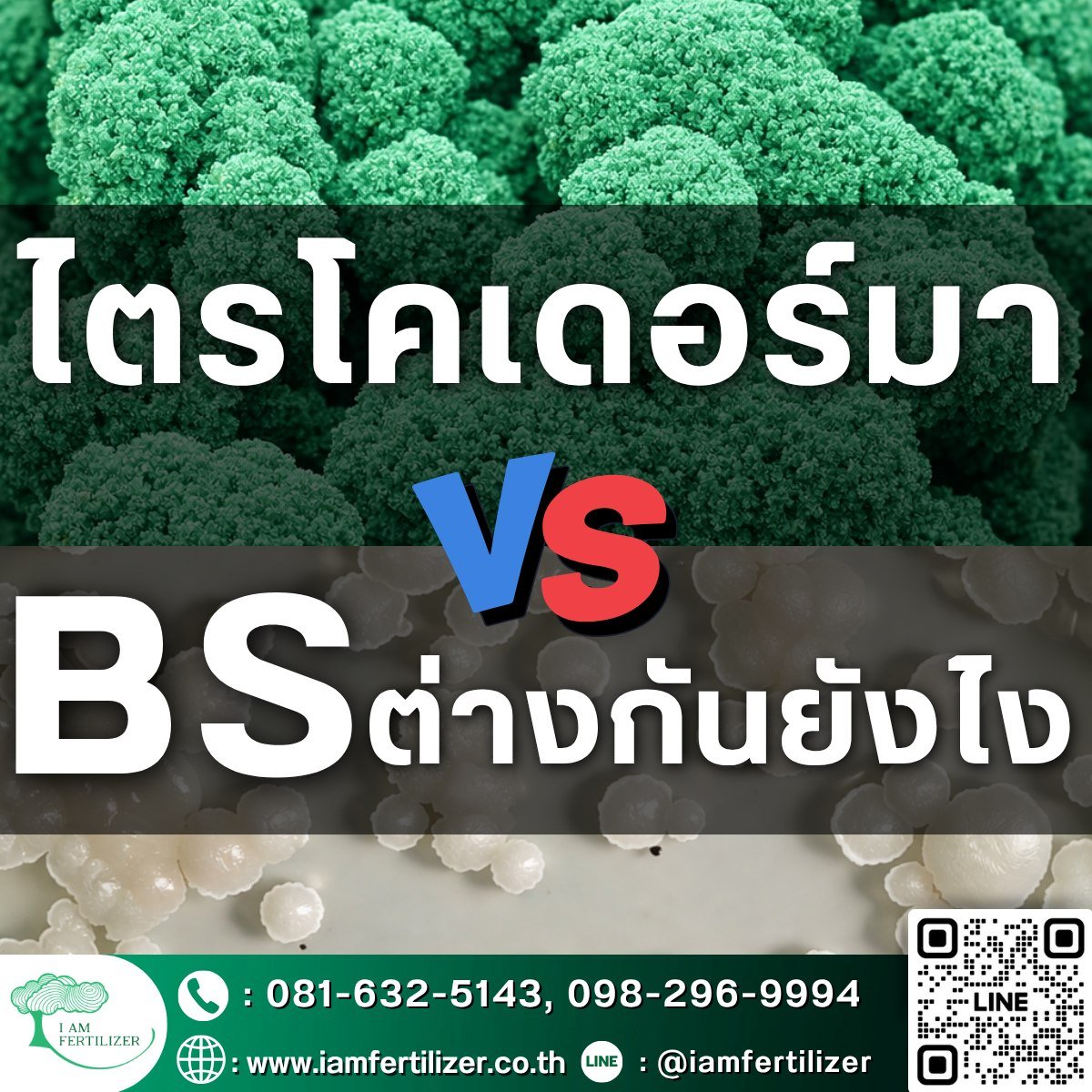 ไตรโคเดอร์มา VS BS ต่างกันยังไง