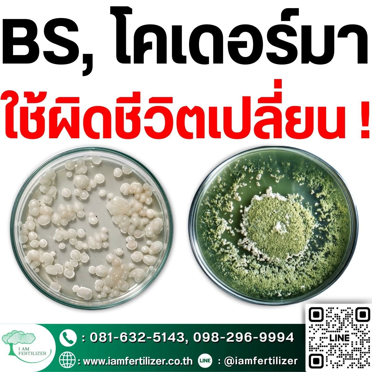 BS, ไตรโคเดอร์มา ใช้ผิดชีวิตเปลี่ยน ???