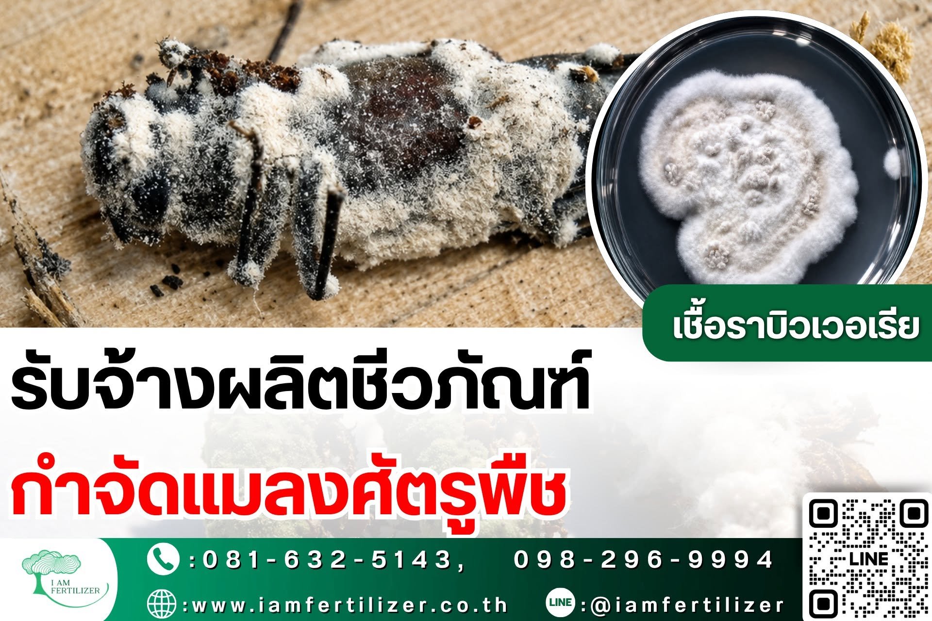 รับจ้างผลิตชีวภัณฑ์ กำจัดแมลงศัตรูพืช
